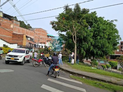 Imagen de Parte de un árbol cayó sobre un taxi en El Peñol