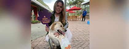 Imagen de  En Rionegro habrá jornada de adopción de animales en el Centro Comercial San Nicolás