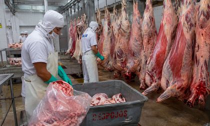 CVC llama a las plantas de beneficio animal a reforzar el manejo de residuos para proteger la salud pública