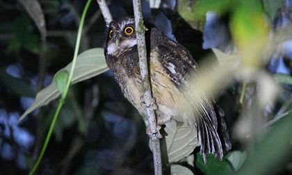 Contribuyendo a la conservación y al bienestar global