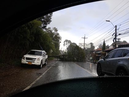 Imagen de Vías bloqueadas por caída de árboles debido a  fuerte tormenta en Rionegro