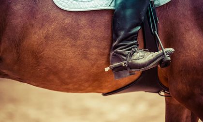 Investigan muerte de menor tras accidente con un caballo en Palmira