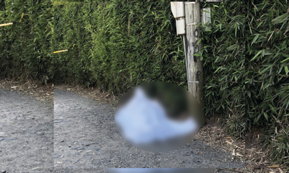 Imagen de Mujer fue asesinada en zona rural de El Carmen de Viboral