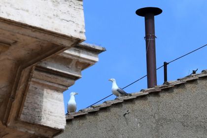 Imagen de  Las gaviotas, la otra imagen del cónclave que molesta en Roma