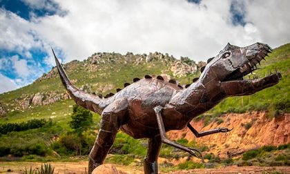 ¿Se acerca la sexta extinción masiva de la Tierra?