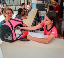 El centro de protección animal de Cali opera día y noche con atención médica, adopciones y rescates permanentes