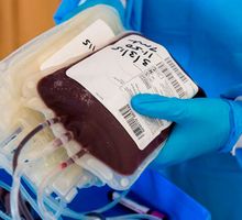 Llamado urgente a donar sangre en temporada decembrina