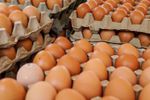 Imagen de Gobierno Petro regala huevos a miles de familias vulnerables en plena época electoral