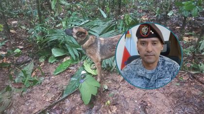 Imagen de  “Es casi imposible verlo en la selva”: militares explican suspensión de la búsqueda de Wilson