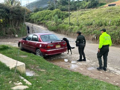 Imagen de Policía incautó más de 50 kilos de estupefacientes en El Santuario 