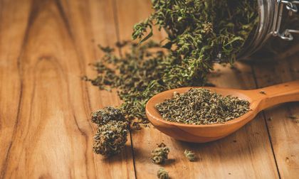 Ya es oficial: Gobierno aprueba venta de cannabis medicinal en farmacias en Colombia