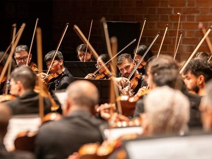 Imagen de  Concierto de este viernes de la Filarmed destinará boletería a familias afectadas por las lluvias