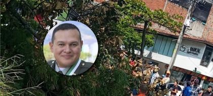 Imagen de Hace 46 días habían ordenado talar el árbol que se desplomó y mató a un policía en Medellín