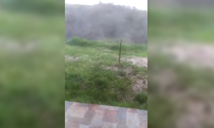 Imagen de  En San Vicente reportan pérdidas de cultivos a causa de las lluvias