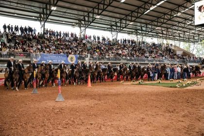 Imagen de  ExpoOriente celebra 50 años con cuatro días de feria equina y más de 450 caballos en pista