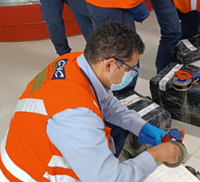 Incautan carne de armadillo y guagua en aeropuerto de Palmira