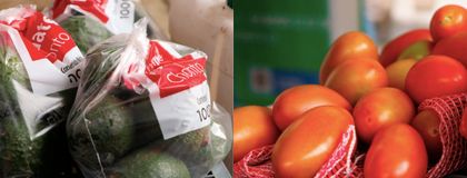 Imagen de  Con la Feria del Aguacate y el Tomate, Marinilla potencia la agroindustria y el emprendimiento