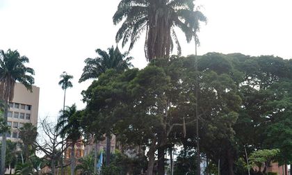 Alcaldía de Palmira pidió agilizar investigaciones