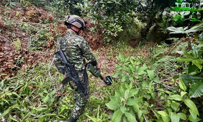 Ejército ha destruido más de 300 explosivos en Cauca