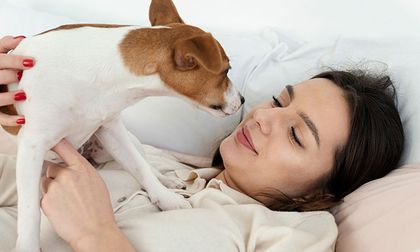 ¿Los perros detectan enfermedades antes que los médicos?