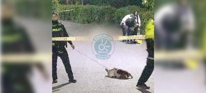 Imagen de Un hombre fue asesinado en zona rural de Rionegro