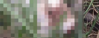 Imagen de  Cruento hallazgo el primero de enero en Bello: encontraron dos cuerpos embolsados en la vía Machado