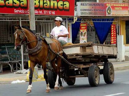 En la recta final sustitución de vehículos de tracción animal