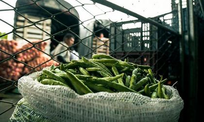 Gremios advierten millonarias pérdidas por atentados
