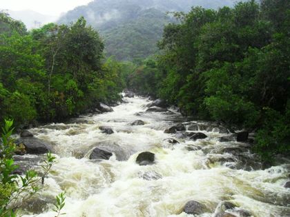 Imagen de Durante el Día del Medio Ambiente, Cornare realizó acciones para el cuidado del entorno