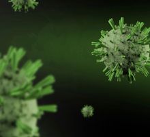 Virus y bacterias: amenazas capaces de cambiar el destino humano