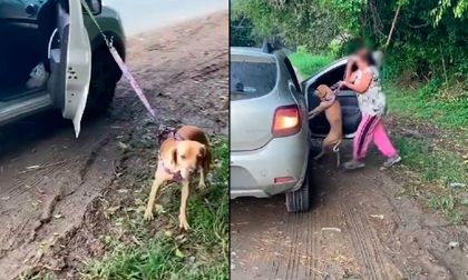 Mujer que llevaba a perro amarrado por fuera del carro genera indignación