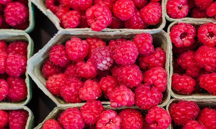 Capturan a mujer señalada por envío de frambuesas con talio a menores en Bogotá