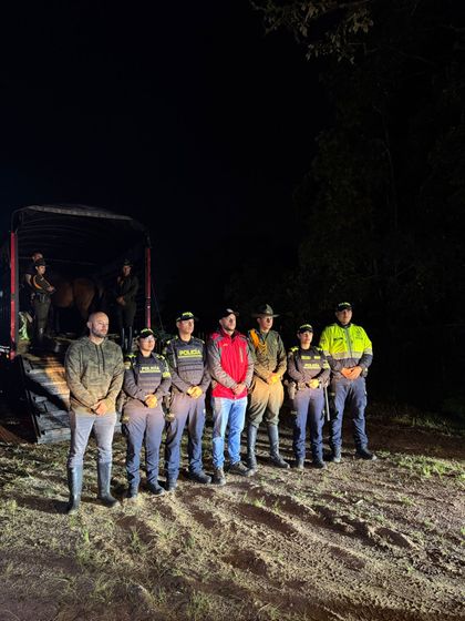 Imagen de Autoridades incautaron 15 semovientes en El Carmen de Viboral