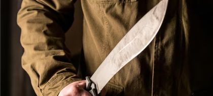 Imagen de  ¡Indignación total! En Ciudad Bolívar, un hombre agredió con machete a dos cachorros