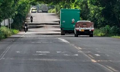 Gobernación del Valle no autoriza cabalgatas