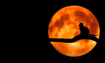 Luna llena, una compañera milenaria de muchos misterios