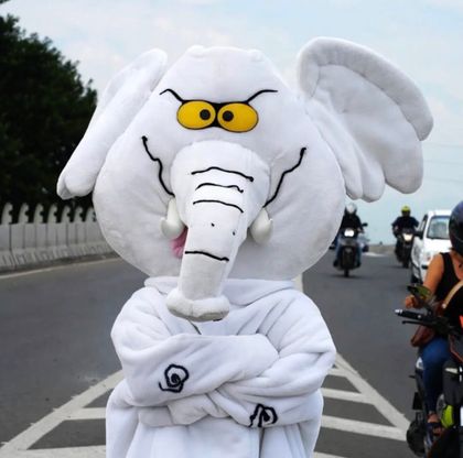 Imagen de  Un «elefante blanco» en lucha contra la corrupción obtiene escaño en el Senado de Colombia