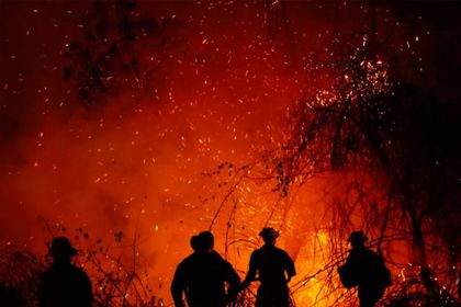 Imagen de  Incendios en el Tolima consumen más de 20 000 hectáreas de bosques y cultivos