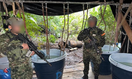 Destruyen complejo cocalero en Nariño