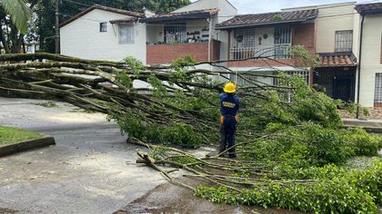 Imagen de  Alcaldía de Rionegro atiende a 94 familias afectadas por el vendaval de la semana pasada
