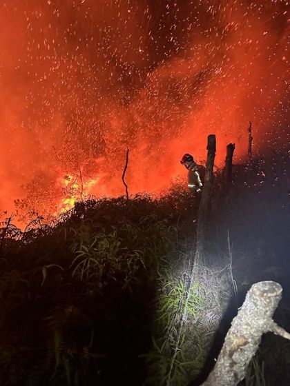 Imagen de  Bomberos controlaron incendio en la vía antigua Guarne-Medellín