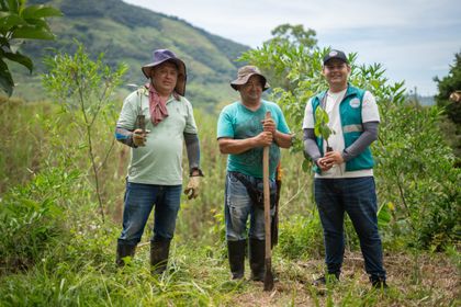 Imagen de  Mientras la deforestación creció en Colombia, la región Cornare logró reducirla un 35 %