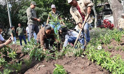 De la tala de un caucho a la siembra de un caracolí: el nuevo paisaje del Parque del Perro