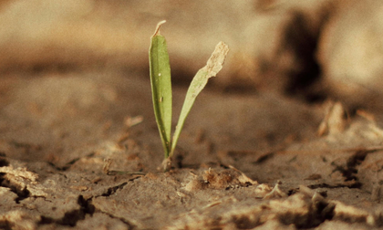 Alta probabilidad de El Niño enciende alertas en Colombia