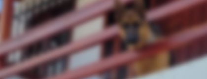 Imagen de  ¿Cinta o bozal? Aclaran supuesto caso de maltrato animal en Rionegro