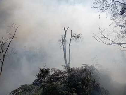 Imagen de Antioquia suma 445 incendios forestales este año, uno de ellos sigue activo en Oriente 
