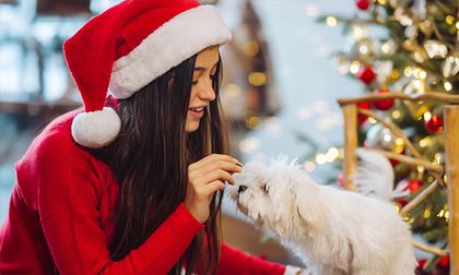 Evite darle estas comidas a sus mascotas en temporada decembrina