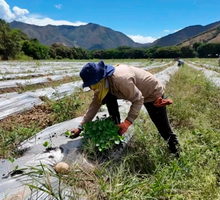 Instan al agro del Valle a optimizar uso del agua