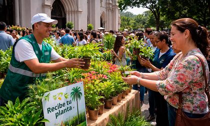 Domingo de Ramos en Cali: Dagma entregará plantas vivas para frenar el uso de palma de cera y proteger el ambiente