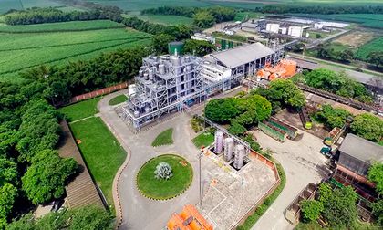 Asocaña advierte que en una semana pararían las plantas de etanol